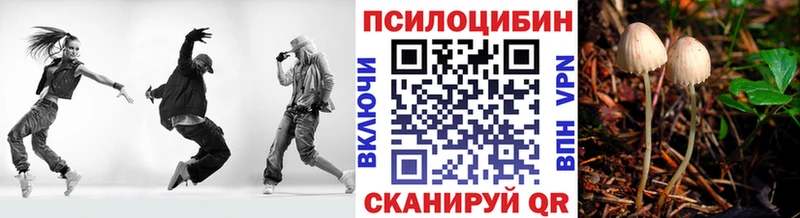 блэк спрут tor  Никольск  Галлюциногенные грибы MAGIC MUSHROOMS  хочу наркоту 